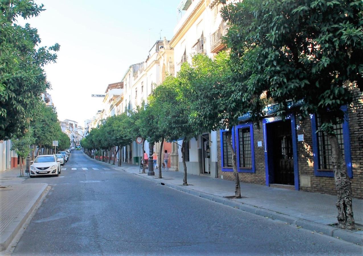 Vivienda Turistica Califato En Casco Historico Lejlighed Córdoba Eksteriør billede