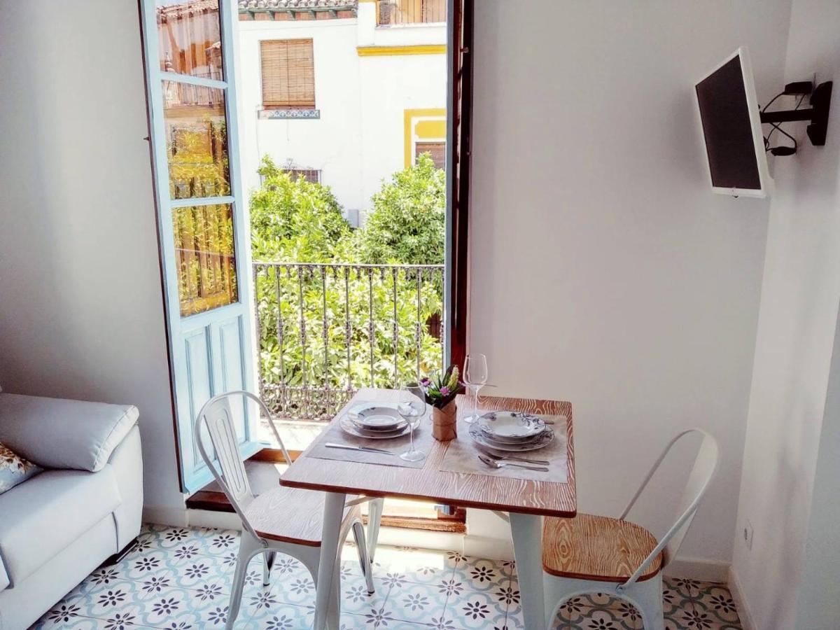 Vivienda Turistica Califato En Casco Historico Lejlighed Córdoba Eksteriør billede
